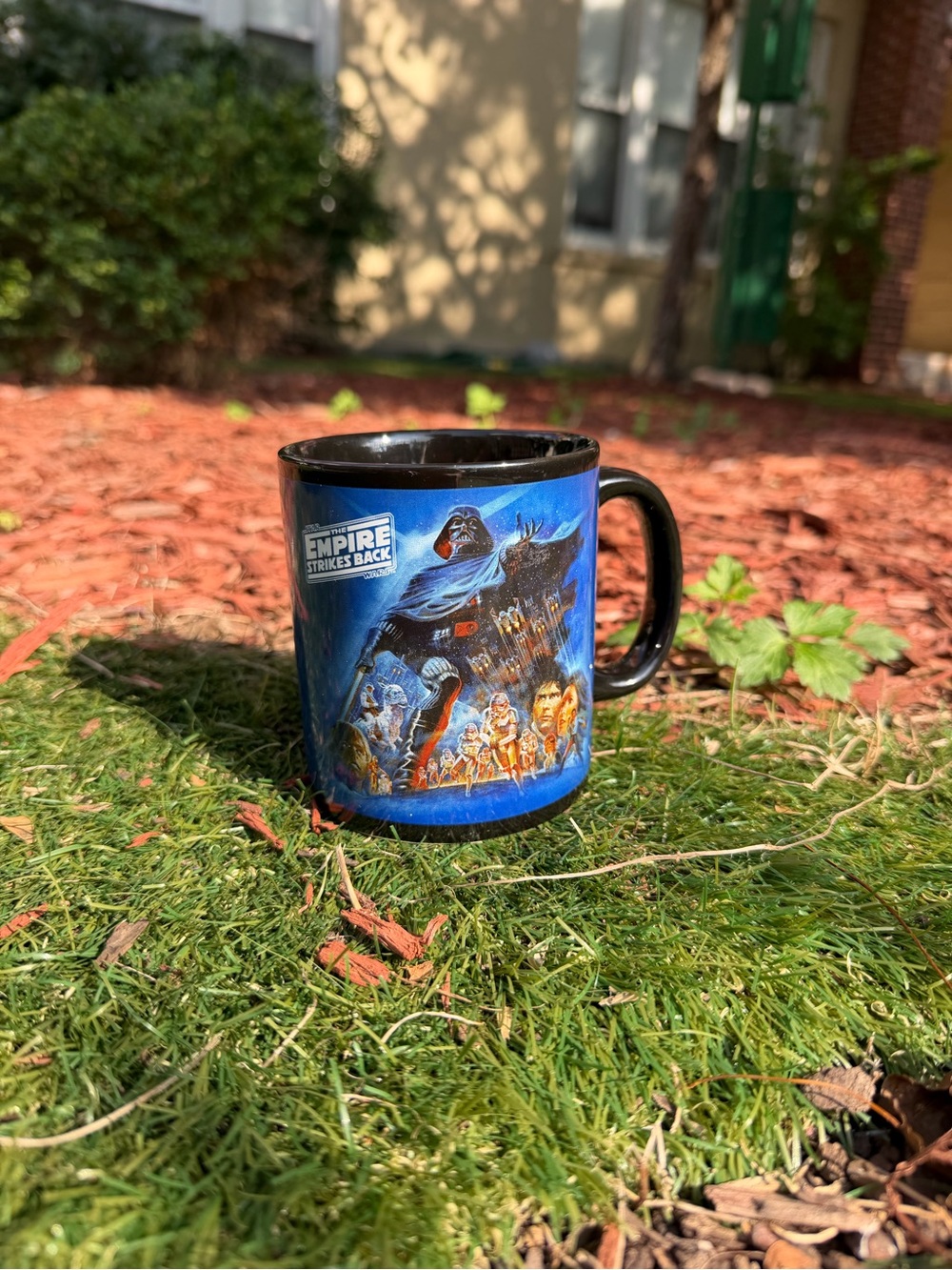 Star Wars Blue and Black Empire Strikes Back Ceramic Mug